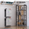Batería Litio 5.1 kW Dyness DL5.0C PRO 100A 48 V Mural